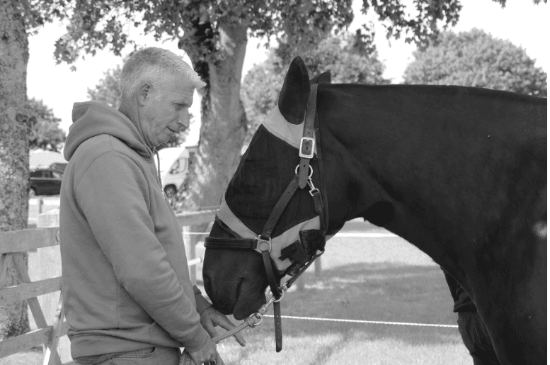 Horse Led Learning Image